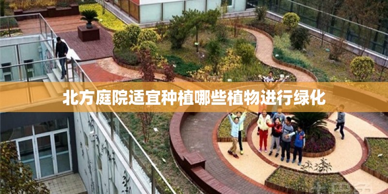 北方庭院适宜种植哪些植物进行绿化 北方庭院适宜种植哪些植物进行绿化