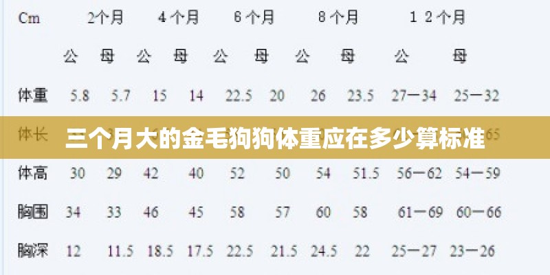 三个月大的金毛狗狗体重应在多少算标准