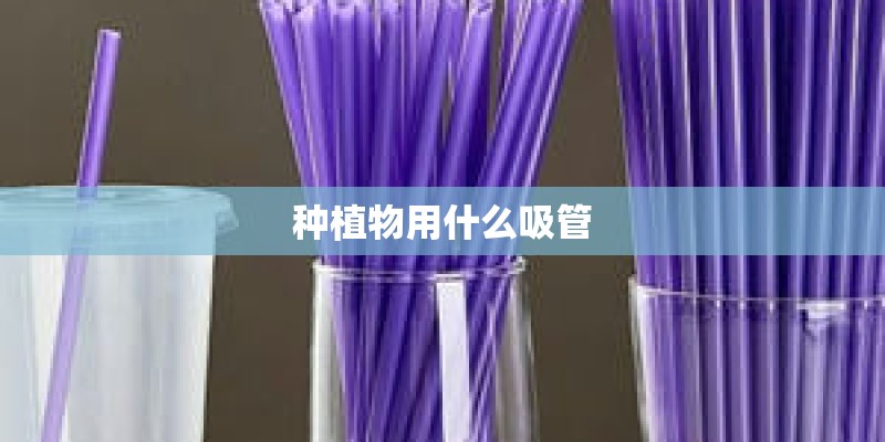 种植物用什么吸管