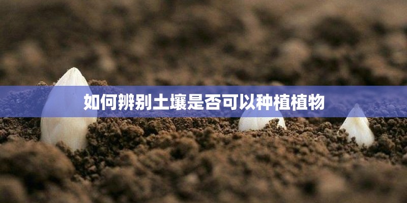 如何辨别土壤是否可以种植植物