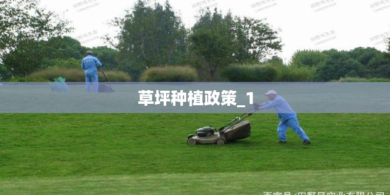 草坪种植政策_1