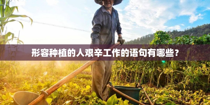 形容种植的人艰辛工作的语句有哪些？