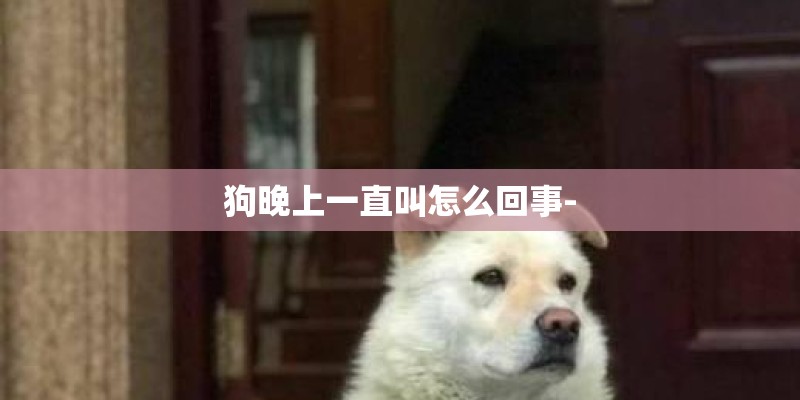 狗晚上一直叫怎么回事-