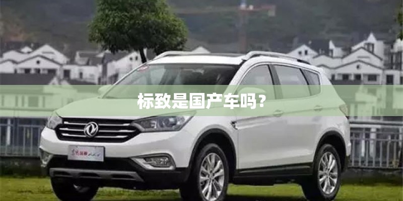标致是国产车吗？