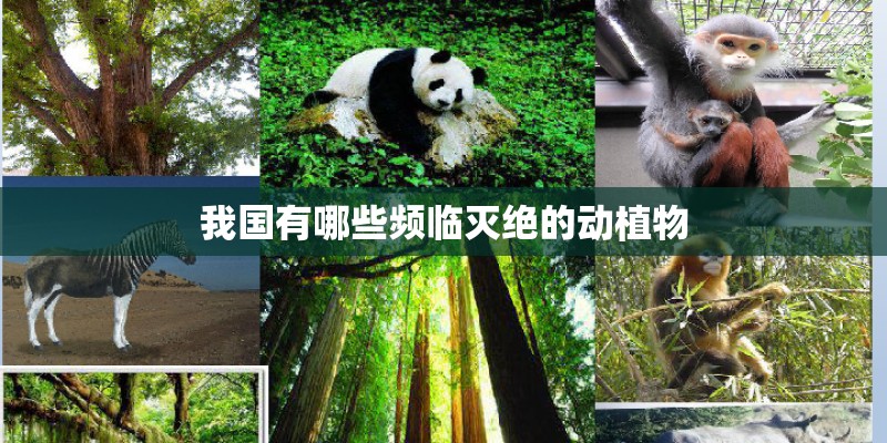 我国有哪些频临灭绝的动植物