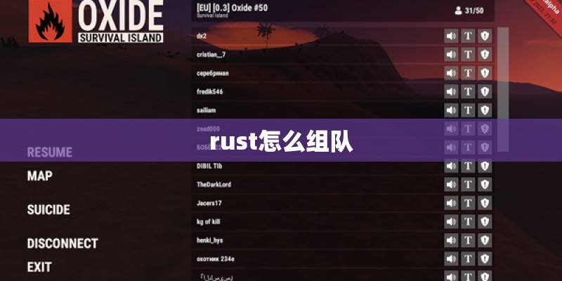 rust怎么组队