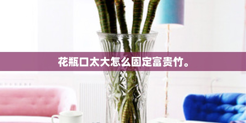 花瓶口太大怎么固定富贵竹。
