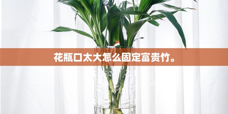 花瓶口太大怎么固定富贵竹。