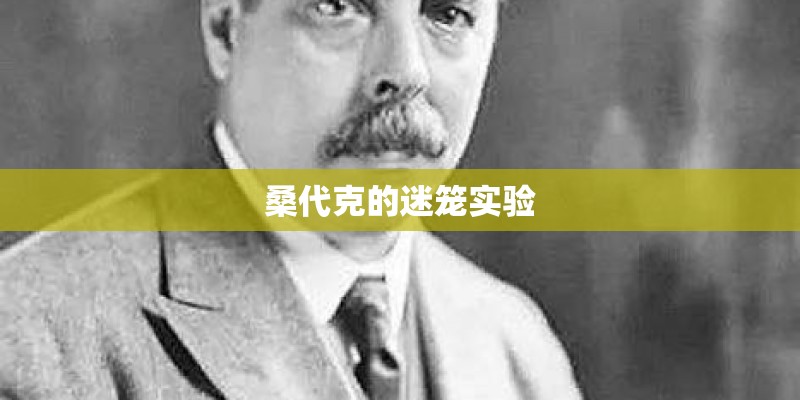桑代克的迷笼实验