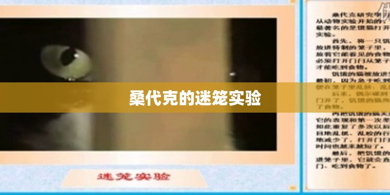 桑代克的迷笼实验