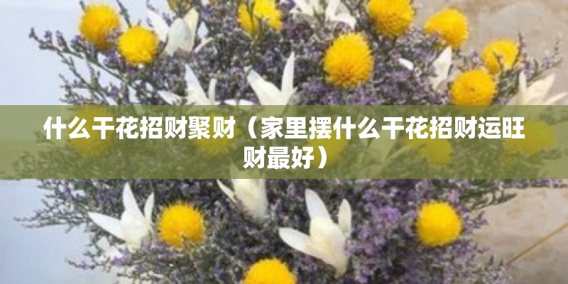 什么干花招财聚财（家里摆什么干花招财运旺财最好）