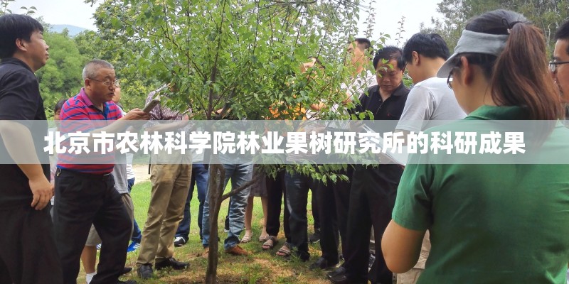 北京市农林科学院林业果树研究所的科研成果 北京市农林科学院林业果树研究所的科研成果