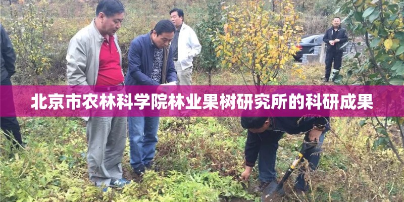 北京市农林科学院林业果树研究所的科研成果 北京市农林科学院林业果树研究所的科研成果