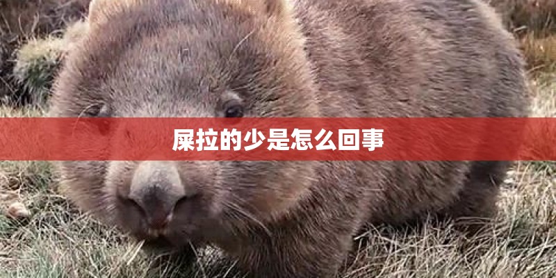 屎拉的少是怎么回事
