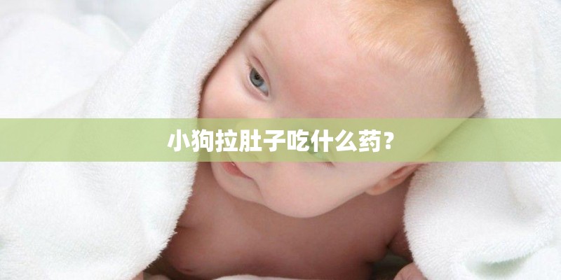 小狗拉肚子吃什么药？