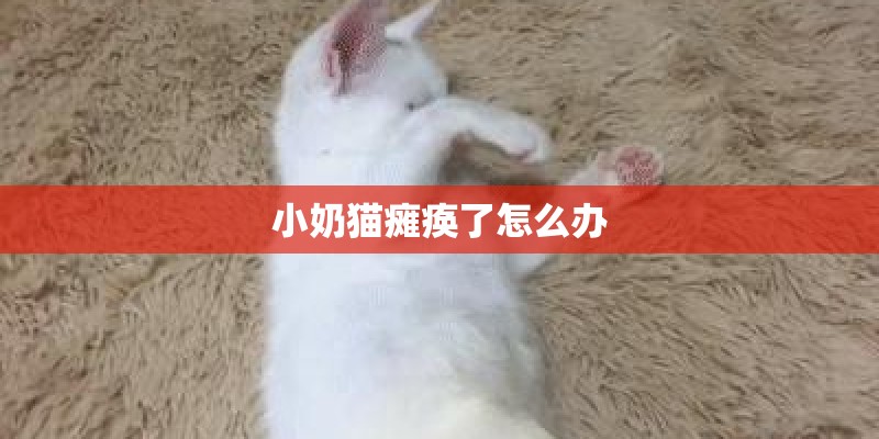 小奶猫瘫痪了怎么办
