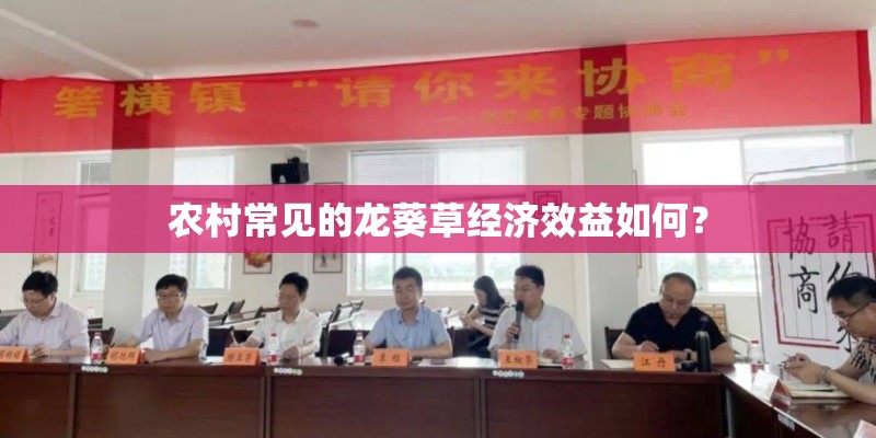 农村常见的龙葵草经济效益如何？
