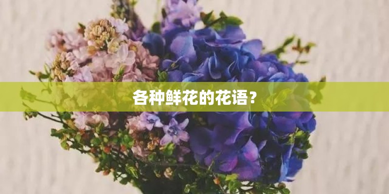 各种鲜花的花语？