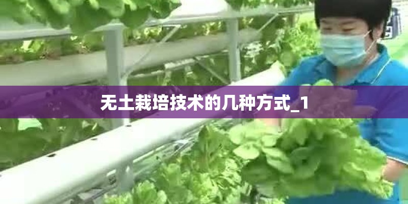 无土栽培技术的几种方式_1