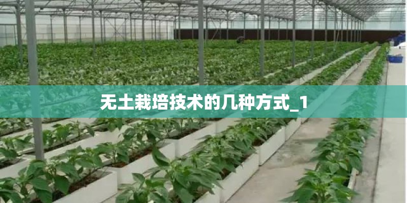 无土栽培技术的几种方式_1