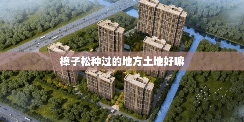 樟子松种过的地方土地好嘛