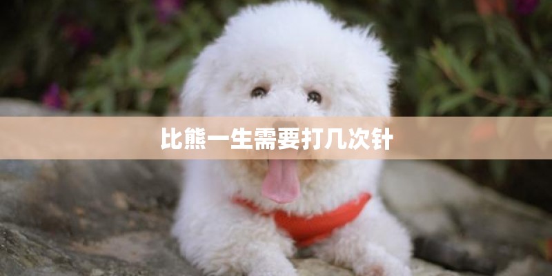 比熊一生需要打几次针