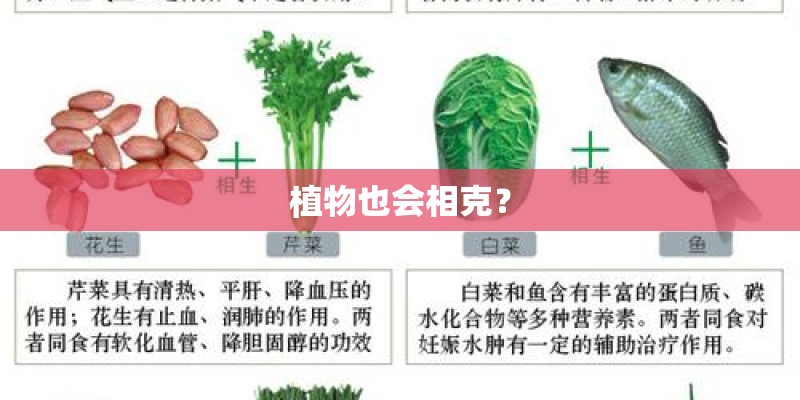 植物也会相克? 植物也会相克?
