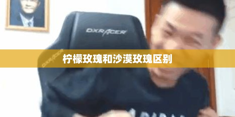 柠檬玫瑰和沙漠玫瑰区别