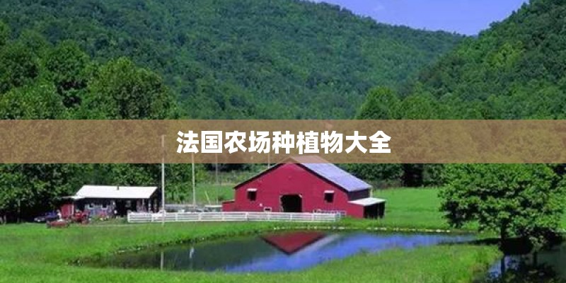 法国农场种植物大全