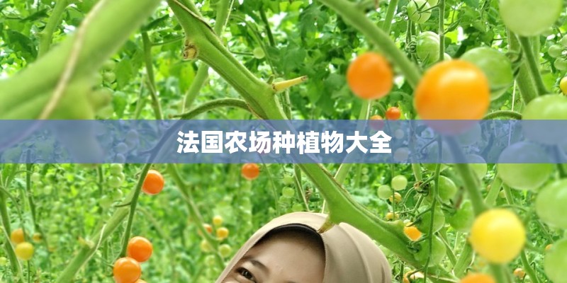 法国农场种植物大全