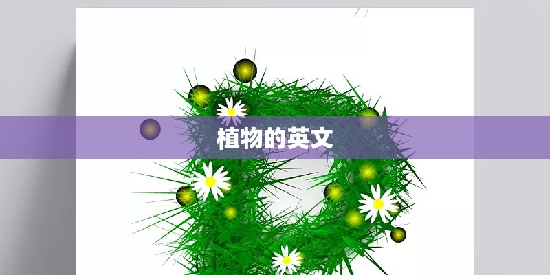 植物的英文