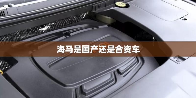 海马是国产还是合资车