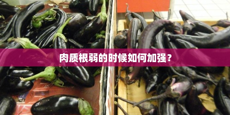 肉质根弱的时候如何加强？