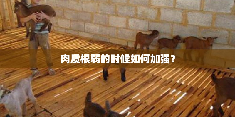 肉质根弱的时候如何加强？
