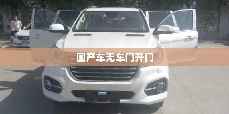 国产车无车门开门