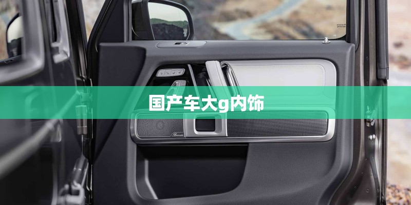 国产车大g内饰 国产车大g内饰
