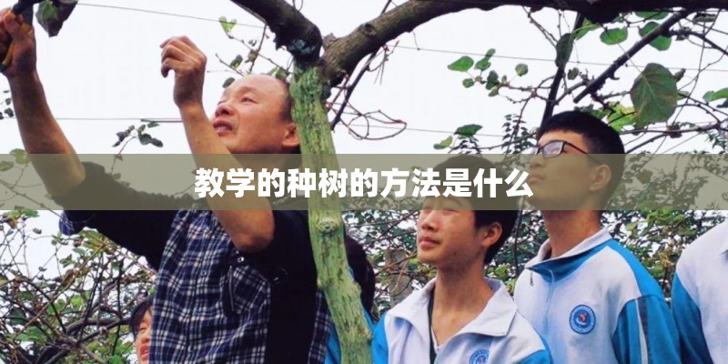 教学的种树的方法是什么