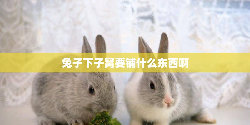兔子下子窝要铺什么东西啊 兔子下子窝要铺什么东西啊