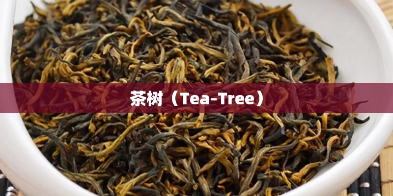 茶树（Tea-Tree）