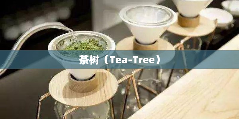 茶树（Tea-Tree）