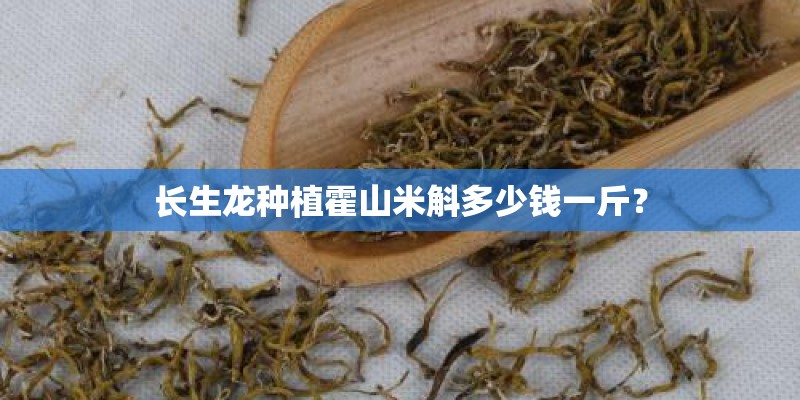 长生龙种植霍山米斛多少钱一斤? 长生龙种植霍山米斛多少钱一斤?