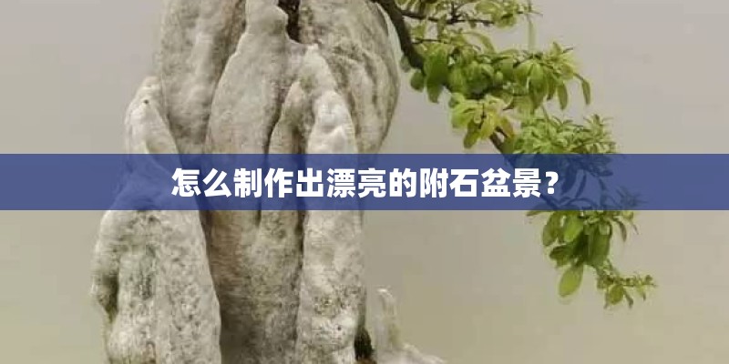 怎么制作出漂亮的附石盆景？