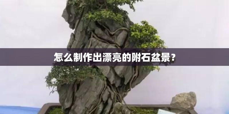 怎么制作出漂亮的附石盆景？