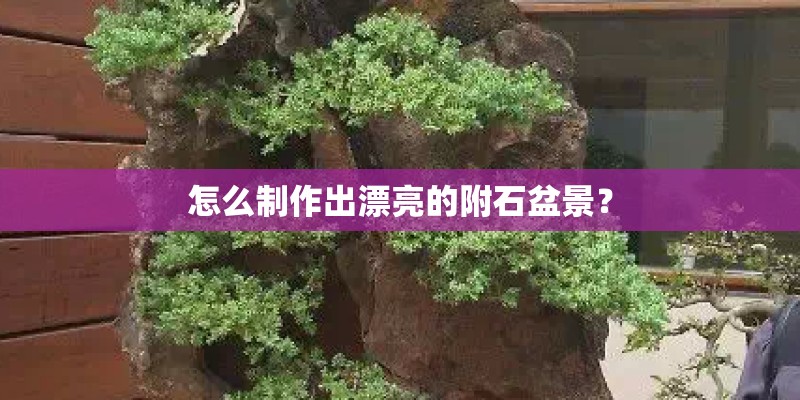 怎么制作出漂亮的附石盆景？