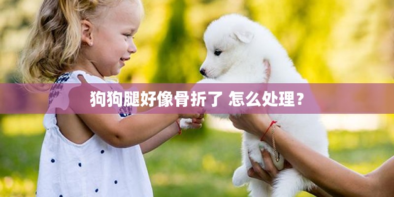狗狗腿好像骨折了 怎么处理？