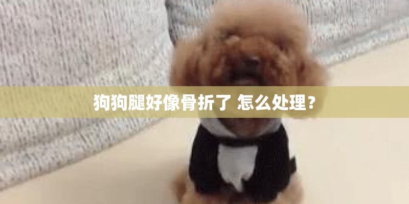 狗狗腿好像骨折了 怎么处理？