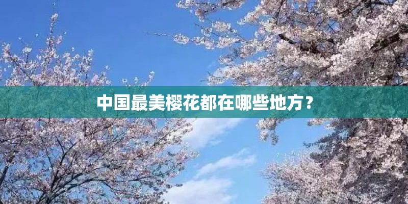 中国最美樱花都在哪些地方？