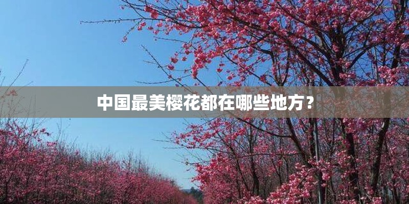 中国最美樱花都在哪些地方？
