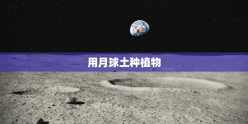 用月球土种植物 用月球土种植物
