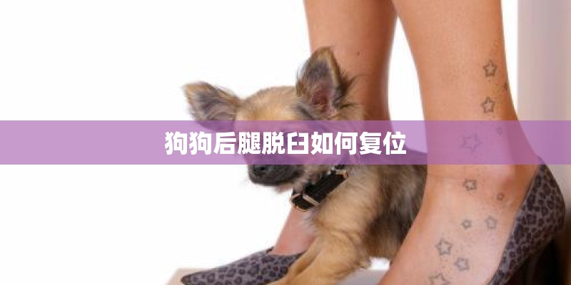 狗狗后腿脱臼如何复位